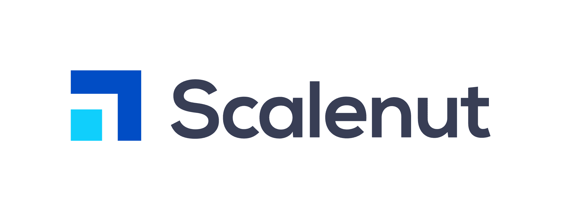 Scalenut logo